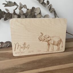 My regular elephant - Afbeelding 2